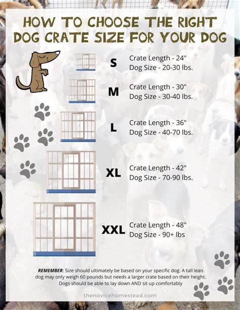 Dog Crate Sizes: Which One is Right for My Pet? - The Novice Homestead