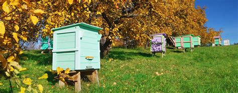 Bee Supplies - Honey - Honey Bees for Sale - Bee Well Honey Farm