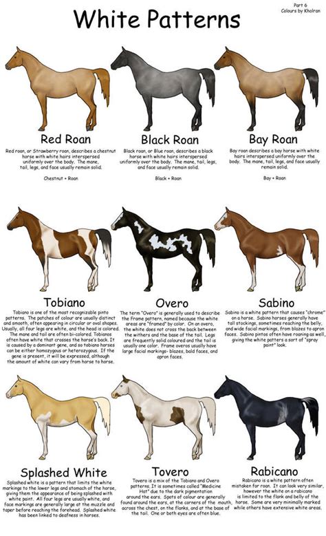 Equine Colors- White Patterns by Kholran on DeviantArt