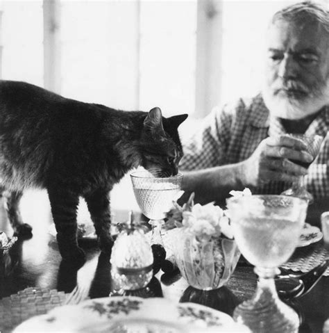 26 Interesting Vintage Photos of Ernest Hemingway With His Beloved Cats ~ Vintage Everyday