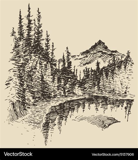 Hand drawn landscape lake and fir forest sketch Vector Image