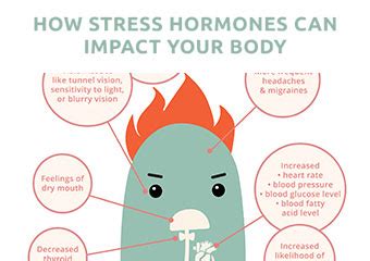 How Anger Affects Your Brain and Body [Infographic - Part 3] - NICABM