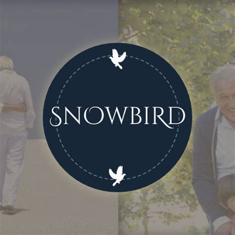 What to consider if you are a Snowbird - AME Law Office