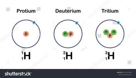 Three Isotopes Hydrogen Stock Vector (Royalty Free) 1922243198 | Shutterstock