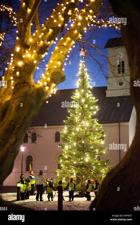 Children around the Reykjavik town Christmas tree in the capital of ...