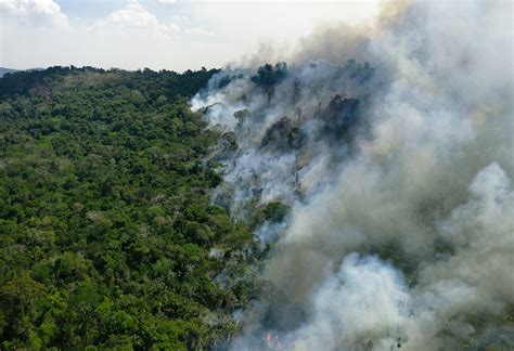 In a Growing Campaign to Criminalize Widespread Environmental ...