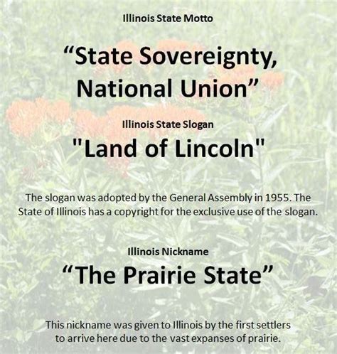 Illinois State Symbols