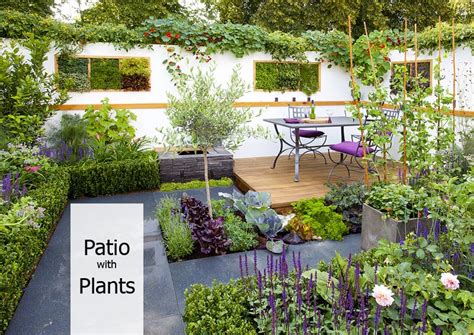 How to Decorate Your Patio with Plants