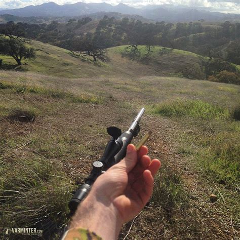 Hunting California Bobcat with my AR15 - AR15 Hunter