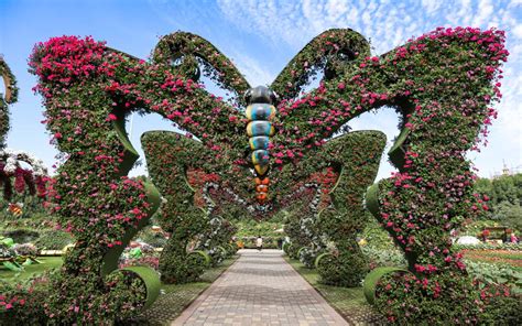 A Guide to Dubai Butterfly Garden: Attractions, Tickets & More - MyBayut