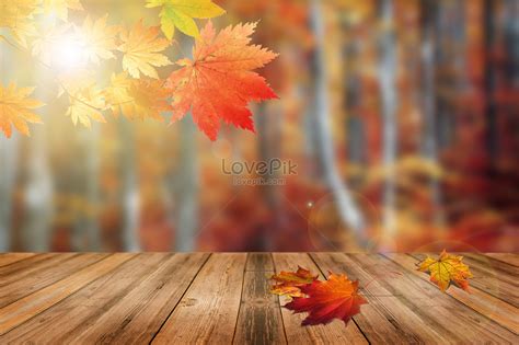 Fall Background Download Free | Banner Background Image on Lovepik | 400513775