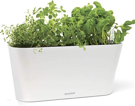 Indoor Herb Garden Self Watering - Garden Plant