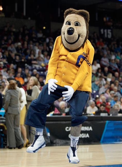 Top 10 Best College Football Mascots - CraveOnline | Cal bears, Mascot ...