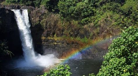 Hawaii Volcano Tour from Hilo in Big Island: Book Tours & Activities at ...