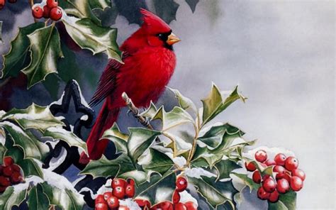 Winter Cardinal Desktop Wallpapers - Top Free Winter Cardinal Desktop Backgrounds - WallpaperAccess