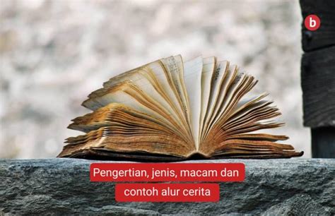 Alur Cerita: Pengertian, Jenis Alur dan Contoh - Penerbit Bukunesia