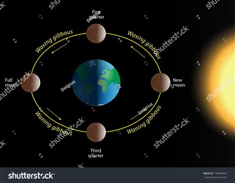 Phase Moon Relation Phases Moon Revolution: illustrazione stock ...