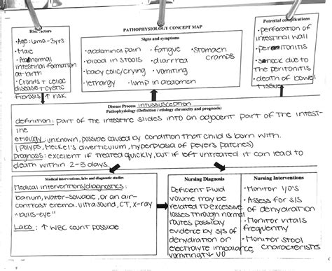 Pathophysiology Concept Map World Map Gray - vrogue.co