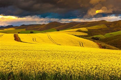 Image result for photography overberg | Country roads, Photography, Image