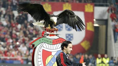 Benfica eagle mascot escapes, returns 24 hours later - AS.com