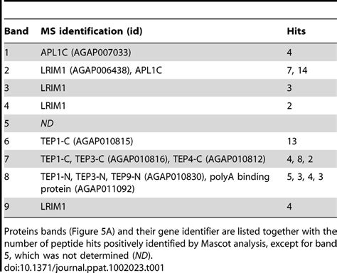 Mass-spectrometry identification of proteins interacting with the ...