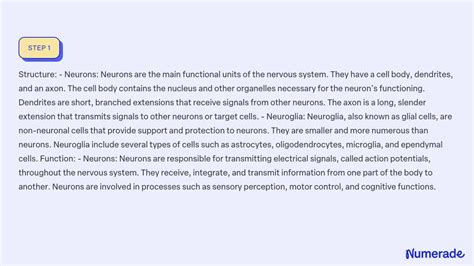 SOLVED:Describe the differences between neurons and neuroglia in terms of structure, function ...