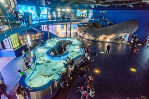 Barcelona Aquarium: Skip-the-Line Admission Ticket | GetYourGuide