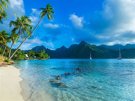 Plages à Moorea : Découvrez le Top 5 des plus belles plages de l'île ...