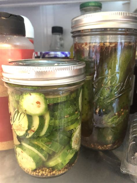 Trying BA Brad’s Half Sour Pickles! : r/fermentation