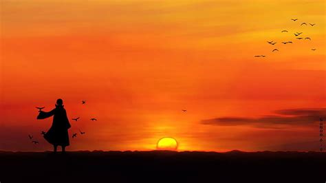 HD wallpaper: Alone, Silhouette, Woman, Birds | Wallpaper Flare