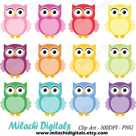 Cute Owl Clip Art