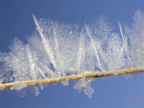 Winter Magic: The beauty of freezing fog, rime ice, and hoar frost | MPR News