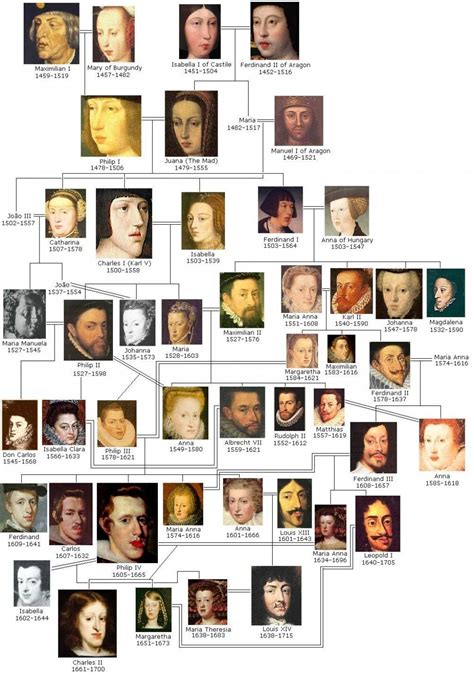 Albero genealogico illustrato degli Asburgo da Massimiliano I a Maria ...