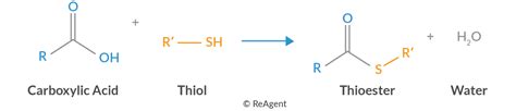 A Level Chemistry Revision: Organic Chemistry - Carboxylic Acids And ...