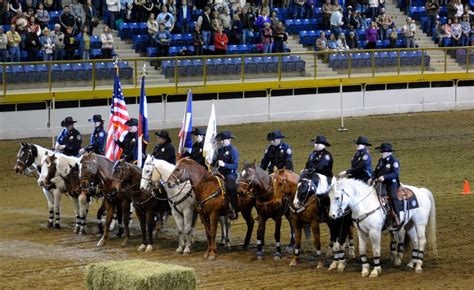 Mille Fiori Favoriti: Draft Horse Show at the National Western Stock ...