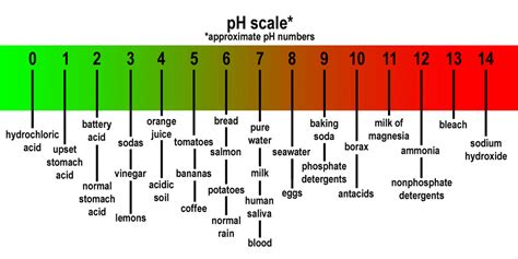 pH - Acids and Bases