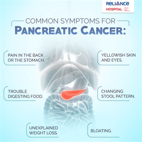 Pancreatic Cancer Symptoms Causes And Support | My XXX Hot Girl