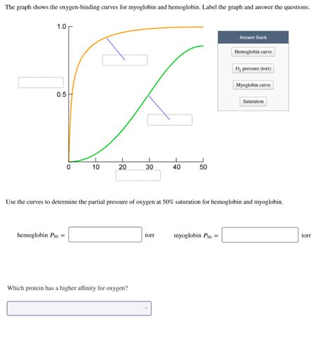 (Solved) - Question: The Graph Shows The Oxygen-Binding Curves For Myoglobin... (1 Answer ...