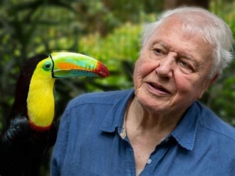 David Attenborough's "Life in Colour" (Episode 1) Worksheet | Teaching Resources