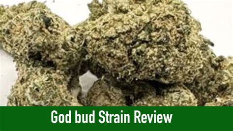 God bud Strain Review from Select Co-Op