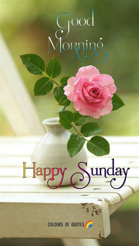 Happy Sunday wishes | Good morning sunday images, Good evening ...