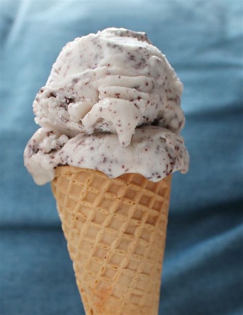 Vegan Ice Cream Three Amazing Ways - Believeinvegan.com