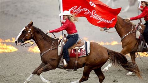 Ron MacLean: Calgary Stampede reflects Alberta's values | CBC Sports