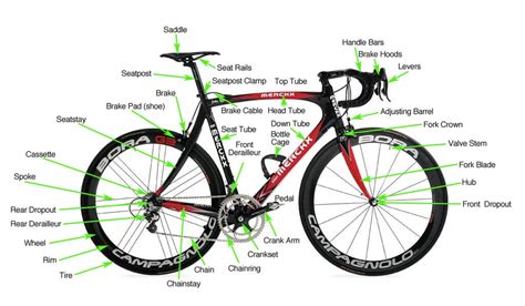 How To Select The Best Electric Bike [Buyer’s Guide] - Really Good Ebikes