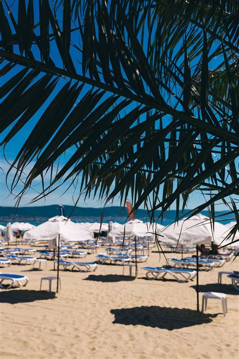 HD wallpaper: Umbrellas and lounge chairs on Sunny Beach, Bulgaria ...