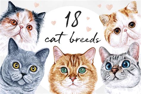 Watercolor 18 cat breeds illustrations. Cute cat. Meow. (407792 ...