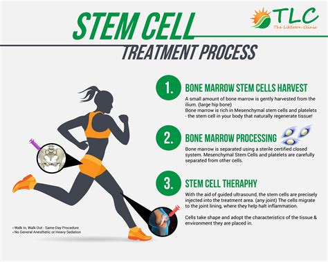 Stem Cells - TLC The Littleton Clinic