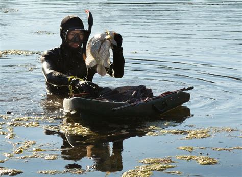 Invasive Aquatic Species Are Threatening Texas Waterways - Reporting ...