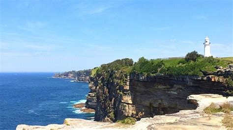 Guide to the Federation Cliff Walk | Sydney Uncovered