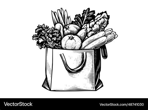 Grocery bag full of food engraving sketch Vector Image